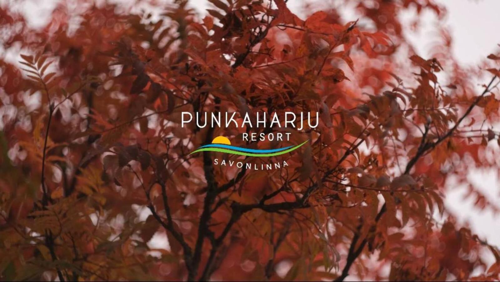 Punkaharju Resort Exteriér fotografie