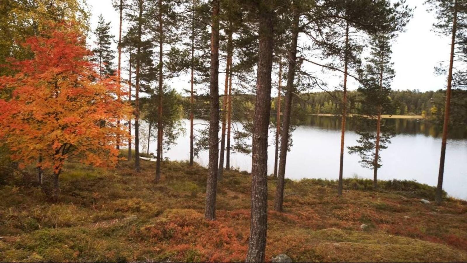 Punkaharju Resort Exteriér fotografie